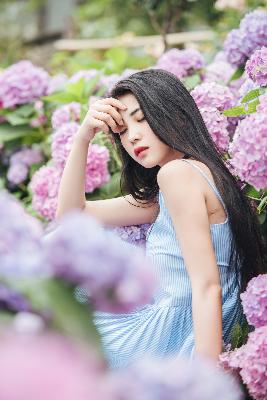 蔷薇风暴电视剧免费观看