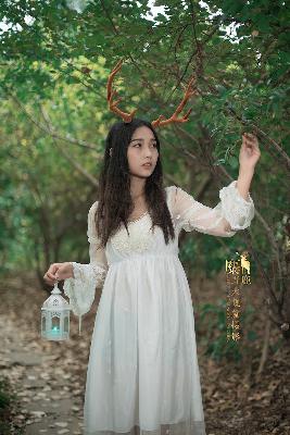 成全免费高清观看全集