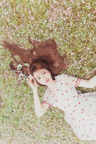 我叫赵甲第2 电视剧