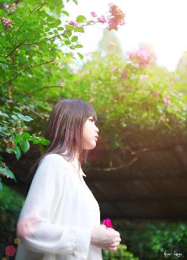 大地保险车险电话