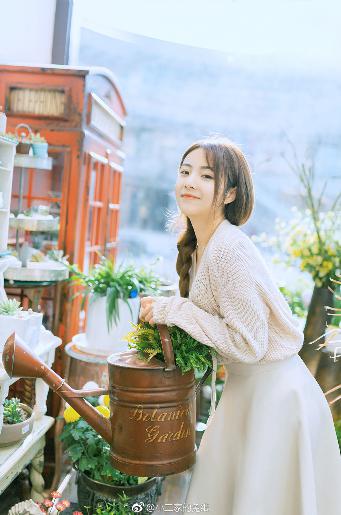 韶华若锦 电视剧