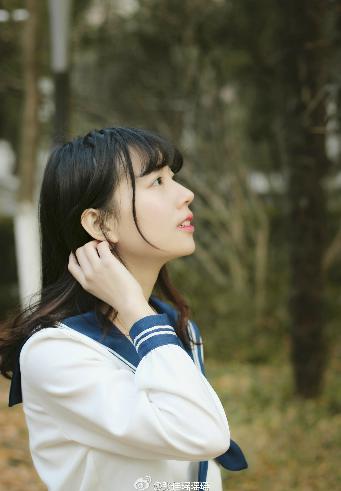 护心电视剧免费观看全集在线播放