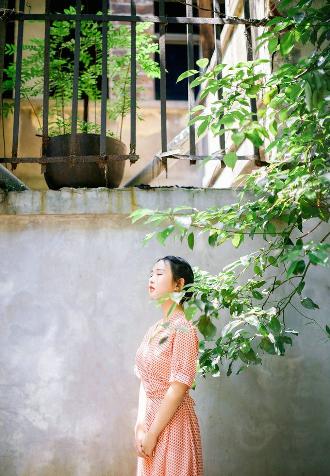 藏海传电视剧高清在线观看