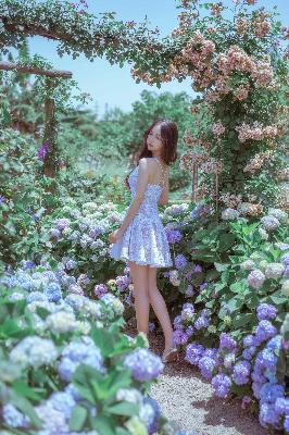 在线观看免费视频