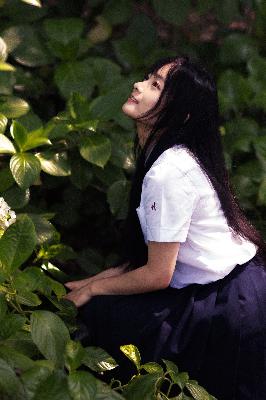 风吹半夏电视剧在线观看全集免费