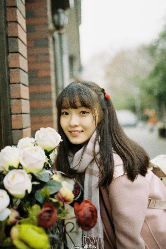 烈火军校电视剧免费观看全集