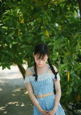 东宫电视剧免费观看全集