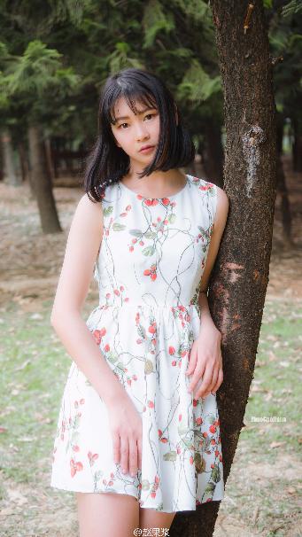 免费的网站域名查询