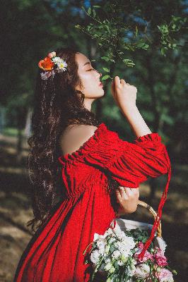 午马影视电视剧免费观看高清