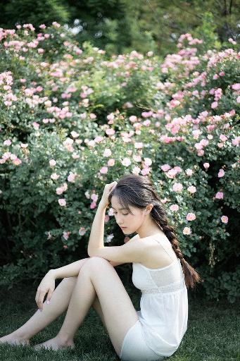 最新电视剧2025热播最火剧免费观看