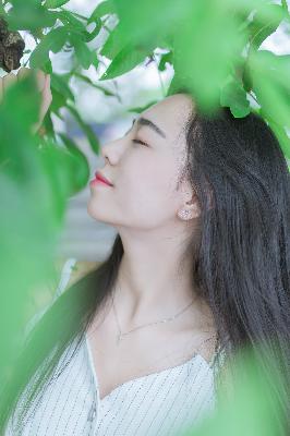 中文在线字幕免费观看电视剧十