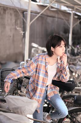 向阳花电影在线观看免费版