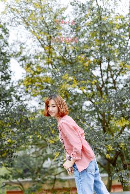 金牌影院电视剧在线观看