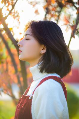 藏海传剧情介绍