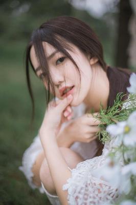 最新电视剧2025热播最火剧免费观看