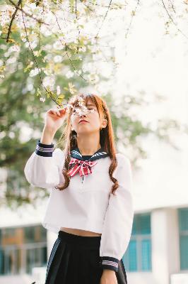 完美世界在线观看