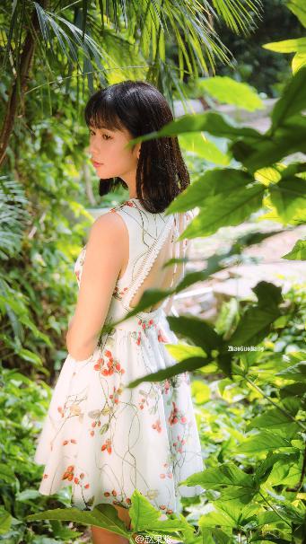 初级会计证报名官网