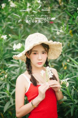 花蝴蝶9免费版大全多少集