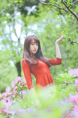 大地二中文在线观看免费高清电视剧