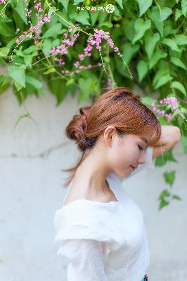 日韩电影在线观看完整版熊出没