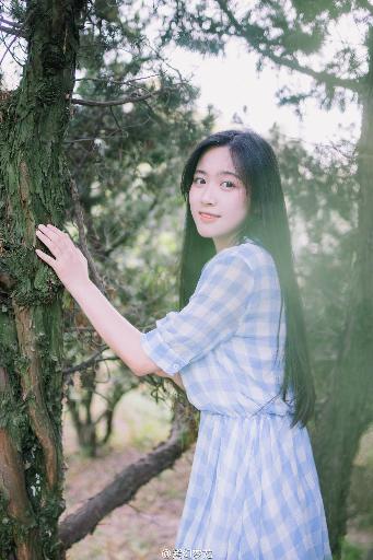 菠萝视频高清免费观看电视剧