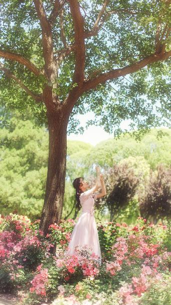 听说你喜欢我电视剧免费观看