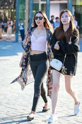 枫与铃在线观看