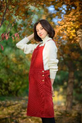 日本又大又好看的PPT模板