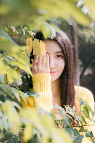 夜来香高清免费观看电视剧