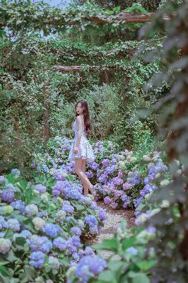 国外大片又大又好看的电视剧