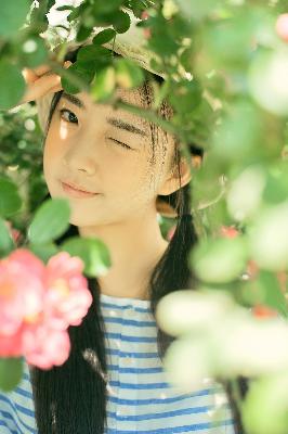 成全免费高清观看全集