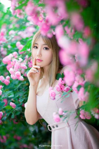 大地资源高清在线观看免费