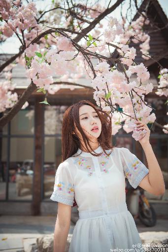 初级会计证报名官网